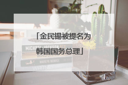 金民锡被提名为韩国国务总理