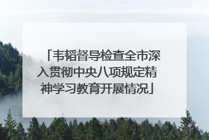 韦韬督导检查全市深入贯彻中央八项规定精神学习教育开展情况