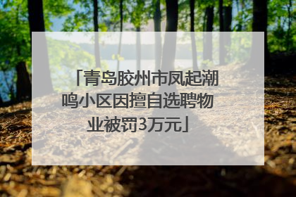 青岛胶州市凤起潮鸣小区因擅自选聘物业被罚3万元