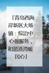 青岛西海岸新区大场镇：综治中心强服务，和谐港湾暖民心
