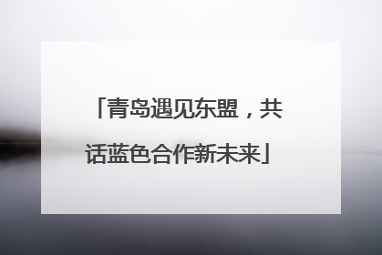 青岛遇见东盟，共话蓝色合作新未来