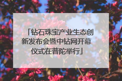 钻石珠宝产业生态创新发布会暨中钻网开幕仪式在普陀举行