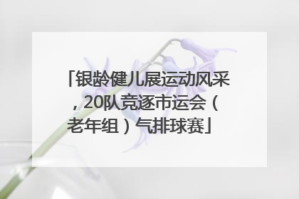 银龄健儿展运动风采，20队竞逐市运会（老年组）气排球赛