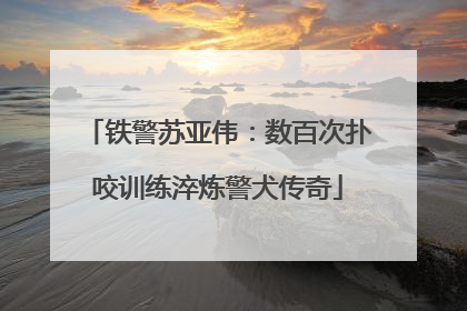 铁警苏亚伟：数百次扑咬训练淬炼警犬传奇