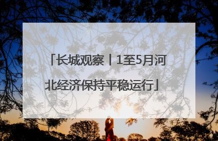长城观察丨1至5月河北经济保持平稳运行