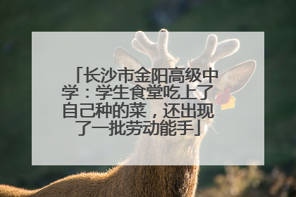 长沙市金阳高级中学：学生食堂吃上了自己种的菜，还出现了一批劳动能手