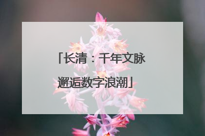 长清：千年文脉邂逅数字浪潮