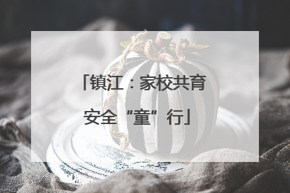 镇江：家校共育 安全“童”行