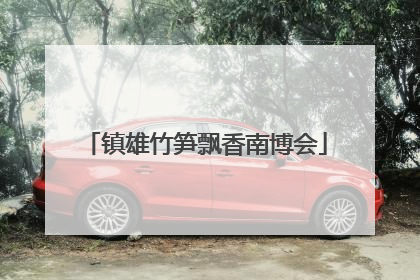 镇雄竹笋飘香南博会