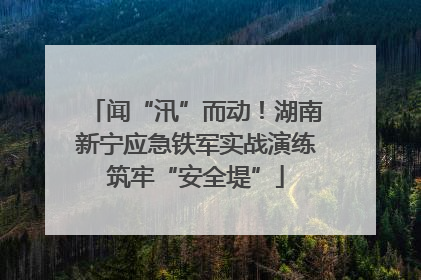 闻“汛”而动！湖南新宁应急铁军实战演练筑牢“安全堤”