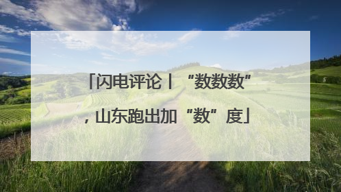 闪电评论丨“数数数”，山东跑出加“数”度