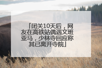 闭关10天后，网友在高铁站偶遇文班亚马，少林寺回应称其已离开寺院