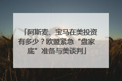 阿斯麦、宝马在美投资有多少？欧盟紧急“盘家底”准备与美谈判