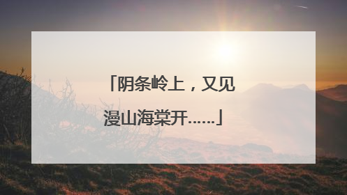 阴条岭上，又见漫山海棠开……