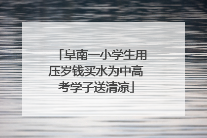 阜南一小学生用压岁钱买水为中高考学子送清凉