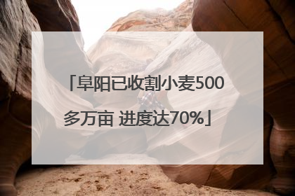 阜阳已收割小麦500多万亩 进度达70%