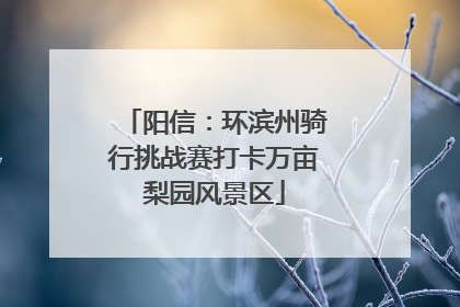 阳信：环滨州骑行挑战赛打卡万亩梨园风景区