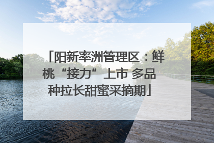 阳新率洲管理区：鲜桃“接力”上市 多品种拉长甜蜜采摘期