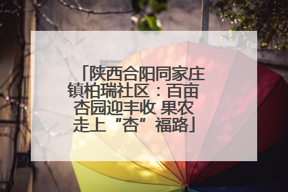 陕西合阳同家庄镇柏瑞社区：百亩杏园迎丰收 果农走上“杏”福路