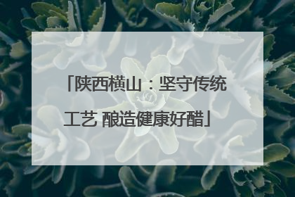 陕西横山：坚守传统工艺 酿造健康好醋