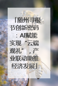 随州寻根节创新密码：AI赋能实现“云端观礼”，产业联动助推经济发展