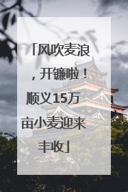 风吹麦浪，开镰啦！顺义15万亩小麦迎来丰收