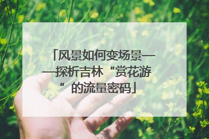 风景如何变场景——探析吉林“赏花游”的流量密码