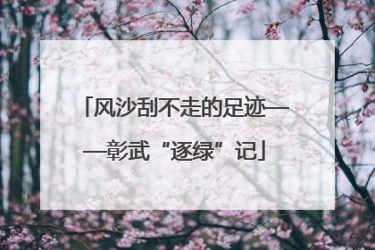 风沙刮不走的足迹——彰武“逐绿”记