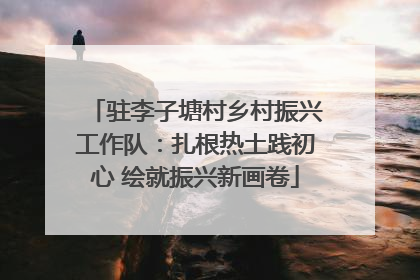 驻李子塘村乡村振兴工作队：扎根热土践初心 绘就振兴新画卷