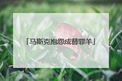 马斯克抱怨成替罪羊