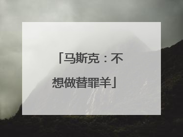马斯克：不想做替罪羊