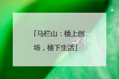马栏山：楼上创场，楼下生活