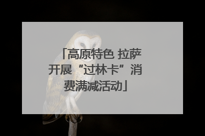 高原特色 拉萨开展“过林卡”消费满减活动