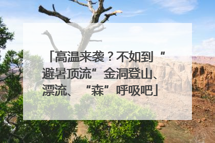 高温来袭？不如到“避暑顶流”金洞登山、漂流、“森”呼吸吧