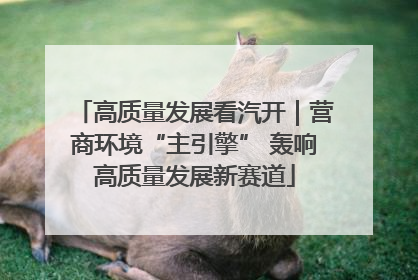 高质量发展看汽开｜营商环境“主引擎” 轰响高质量发展新赛道