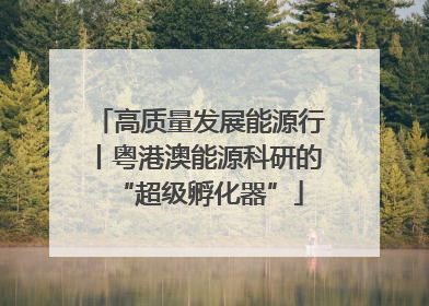 高质量发展能源行丨粤港澳能源科研的“超级孵化器”