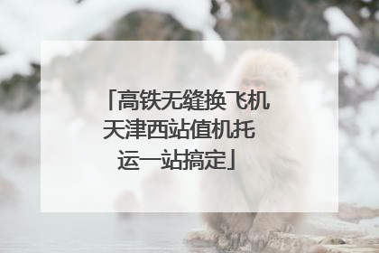 高铁无缝换飞机 天津西站值机托运一站搞定