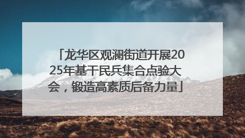 龙华区观澜街道开展2025年基干民兵集合点验大会，锻造高素质后备力量