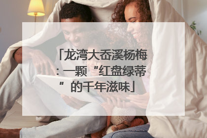 龙湾大岙溪杨梅：一颗“红盘绿蒂”的千年滋味