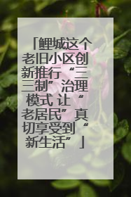 鲤城这个老旧小区创新推行“三三制”治理模式 让“老居民”真切享受到“新生活”