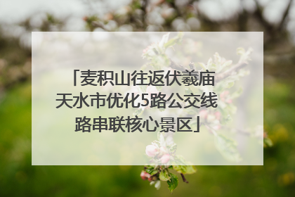 麦积山往返伏羲庙 天水市优化5路公交线路串联核心景区