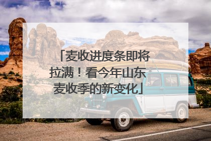 麦收进度条即将拉满！看今年山东麦收季的新变化