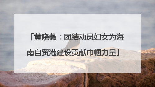 黄晓薇：团结动员妇女为海南自贸港建设贡献巾帼力量