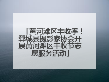 黄河滩区丰收季！郓城县摄影家协会开展黄河滩区丰收节志愿服务活动