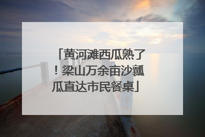 黄河滩西瓜熟了!梁山万余亩沙瓤瓜直达市民餐桌