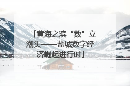 黄海之滨“数”立潮头——盐城数字经济崛起进行时