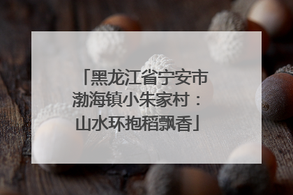 黑龙江省宁安市渤海镇小朱家村：山水环抱稻飘香