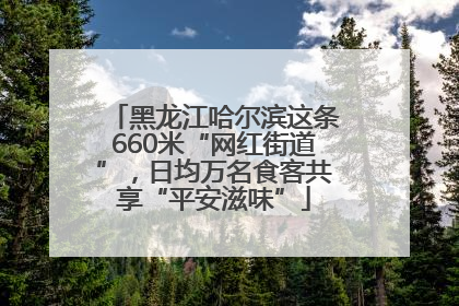 黑龙江哈尔滨这条660米“网红街道”，日均万名食客共享“平安滋味”