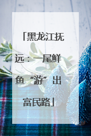 黑龙江抚远：一尾鲜鱼“游”出富民路