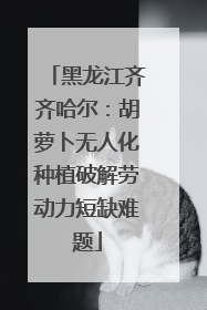 黑龙江齐齐哈尔：胡萝卜无人化种植破解劳动力短缺难题